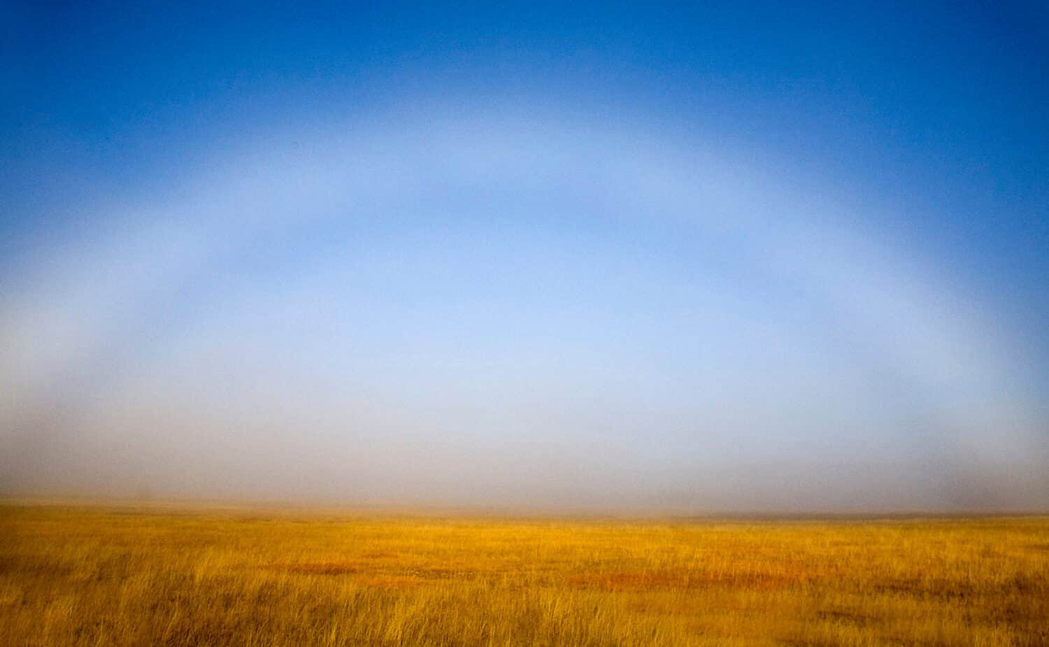 LOW LYING FOG FORM A BOW, ALSO KNOWN AS A FOGBOW, IN YELLOWSTONE NATIONAL PARK,WYOMING