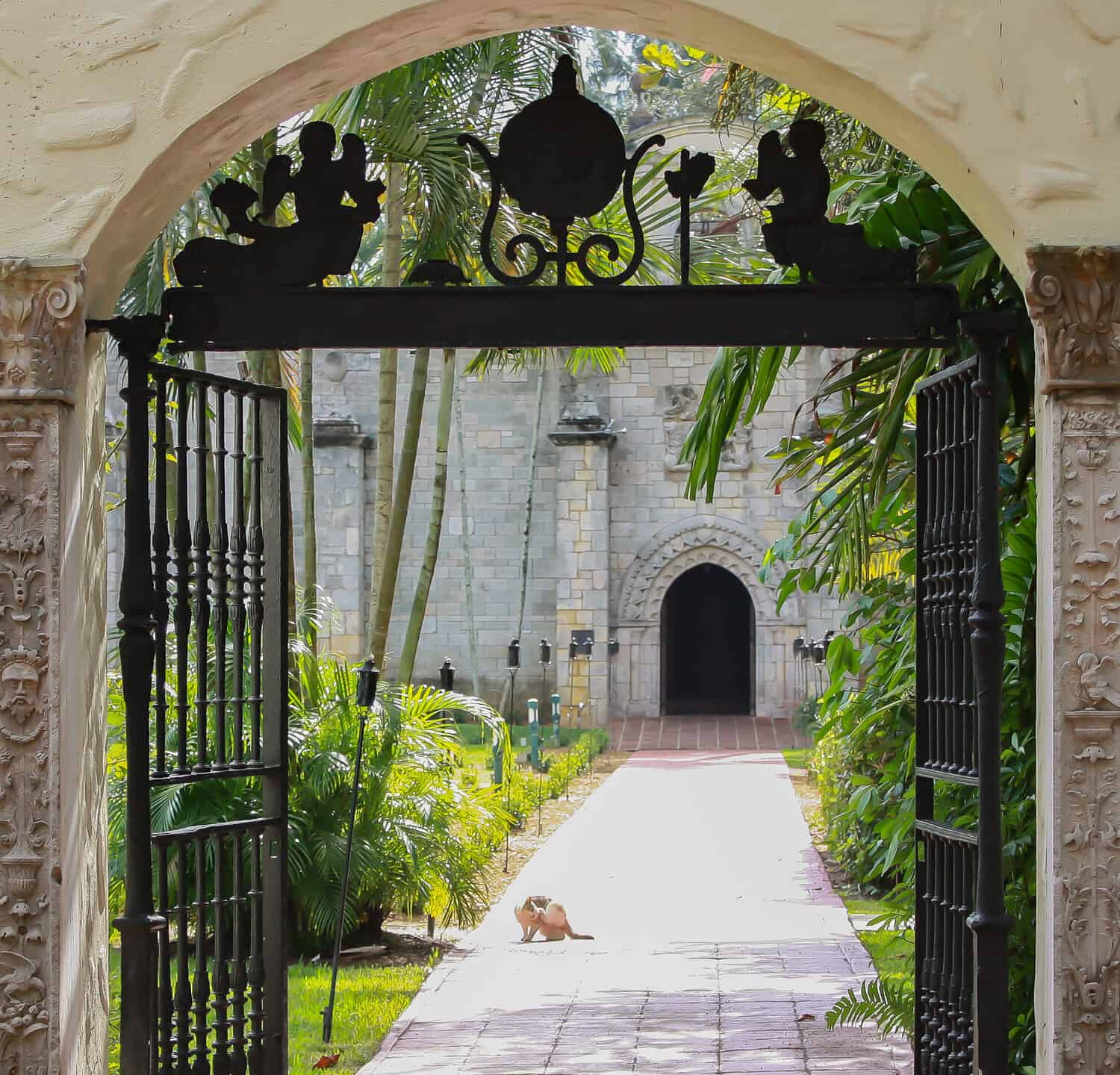 A cat relaxing in the sunshine in side of a gate at St. Bernard de Clairvaux Church in Florida.