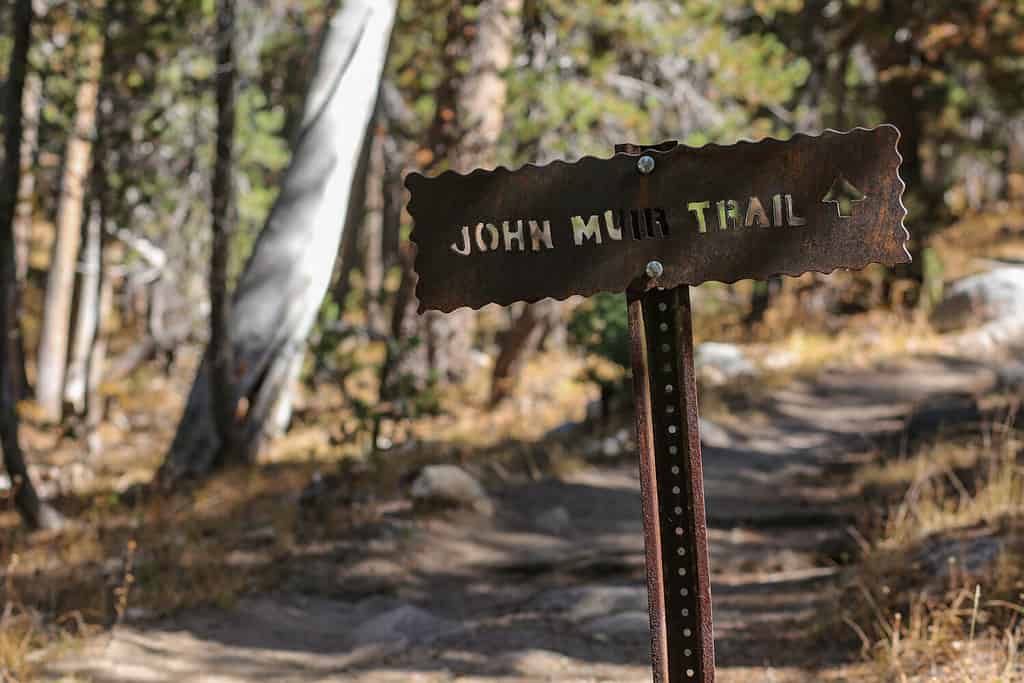 John Muir Trail Sign in the Woods
