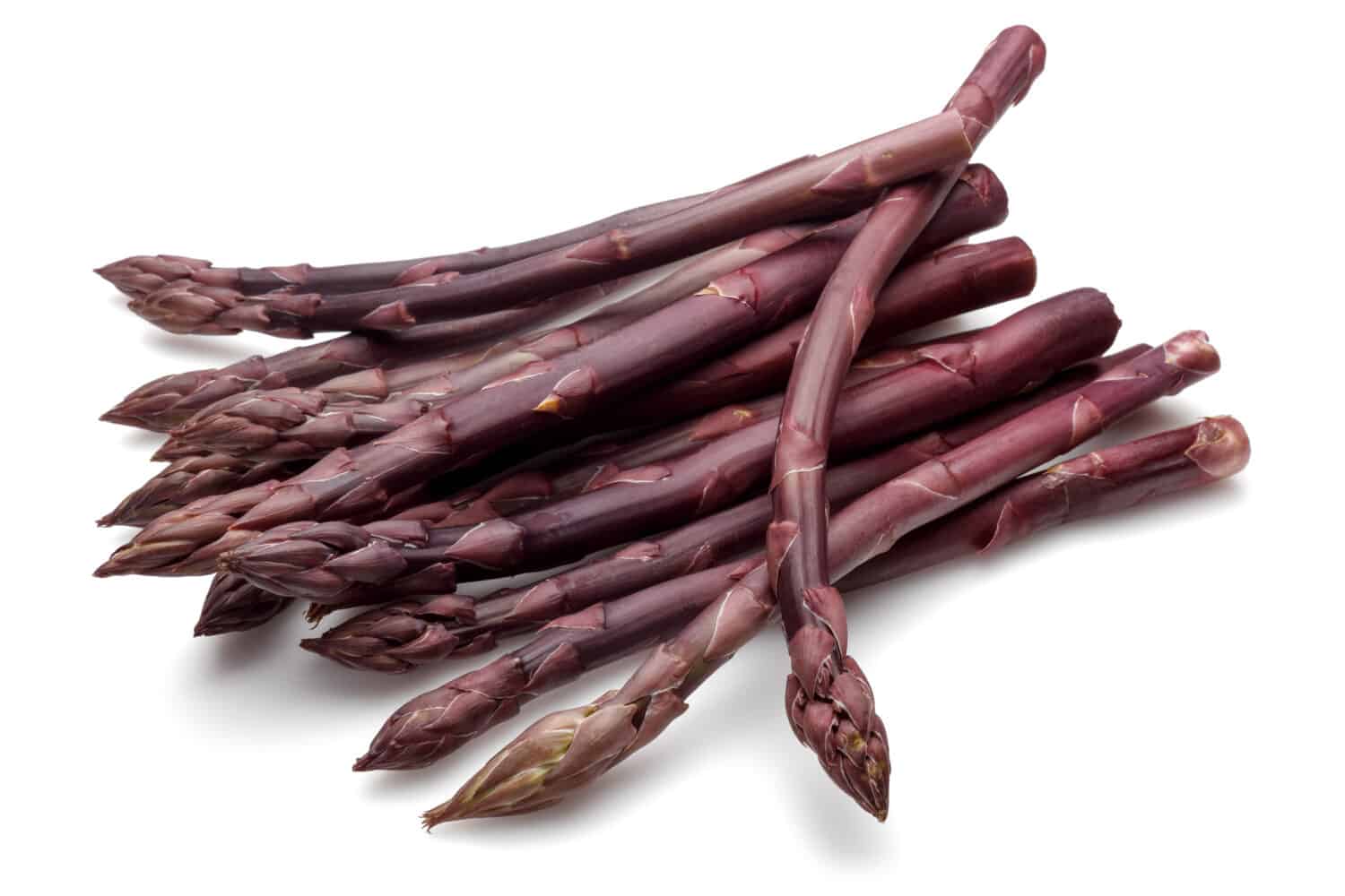 Purple asparagus sticks isolated on white background