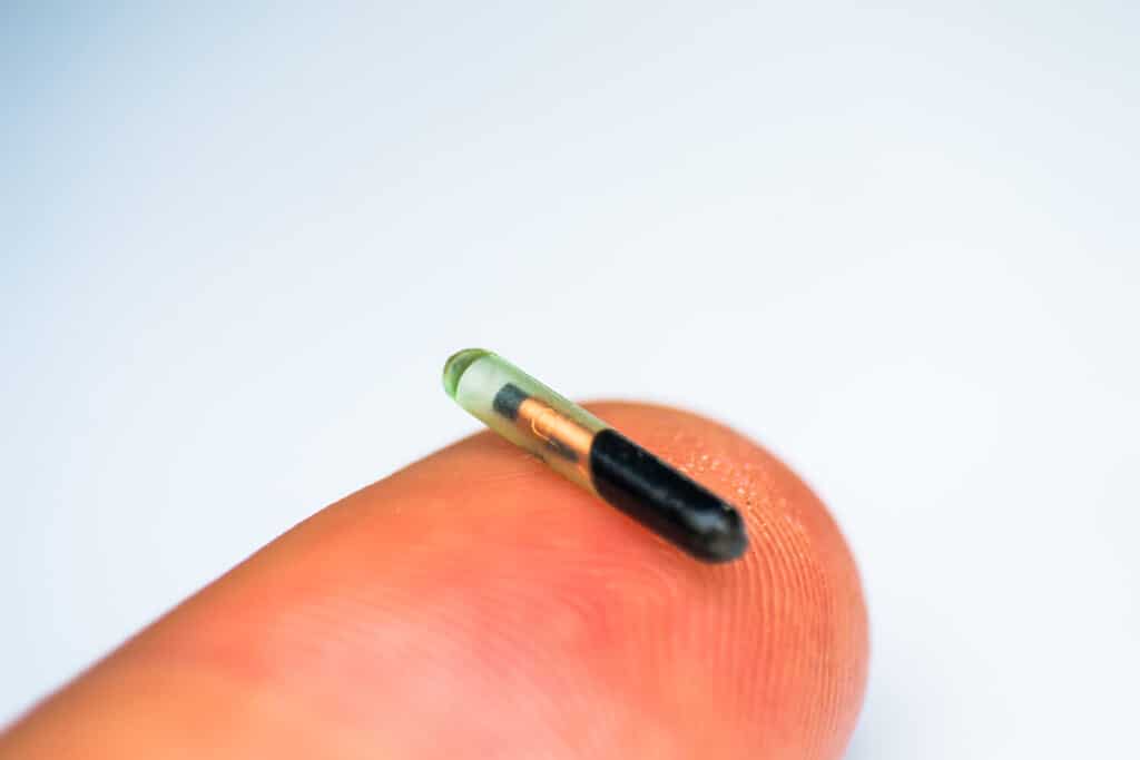 close-up photo of a microchip for pets on human finger