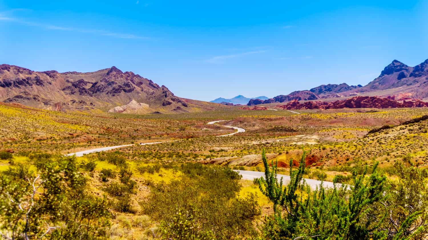 Northshore Road SR167 in Lake Mead National Recreation Area runs through semi desert landscape with colorful mountains between Boulder City and Overton in Nevada, USA