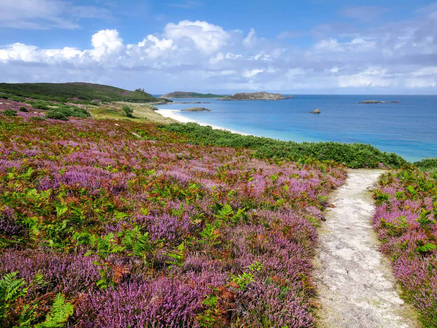 Scenic pathway leading to Great Bay on St Martin's Island, showcasing the natural beauty and coastal charm of the Isles of Scilly, England