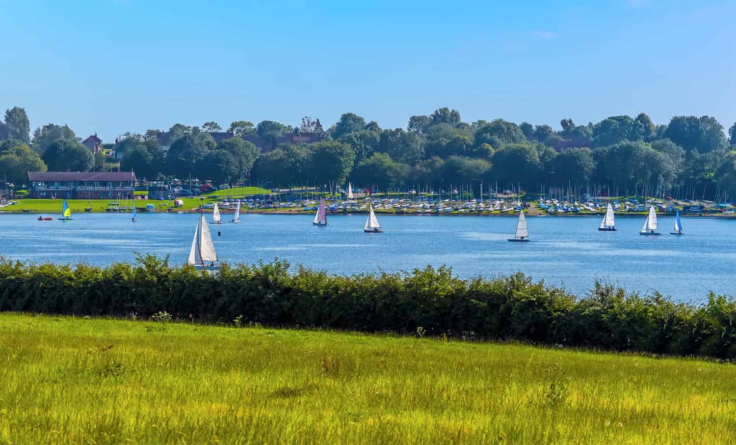 A flotilla of sailing boats on Rutland Water reservoir in summertime