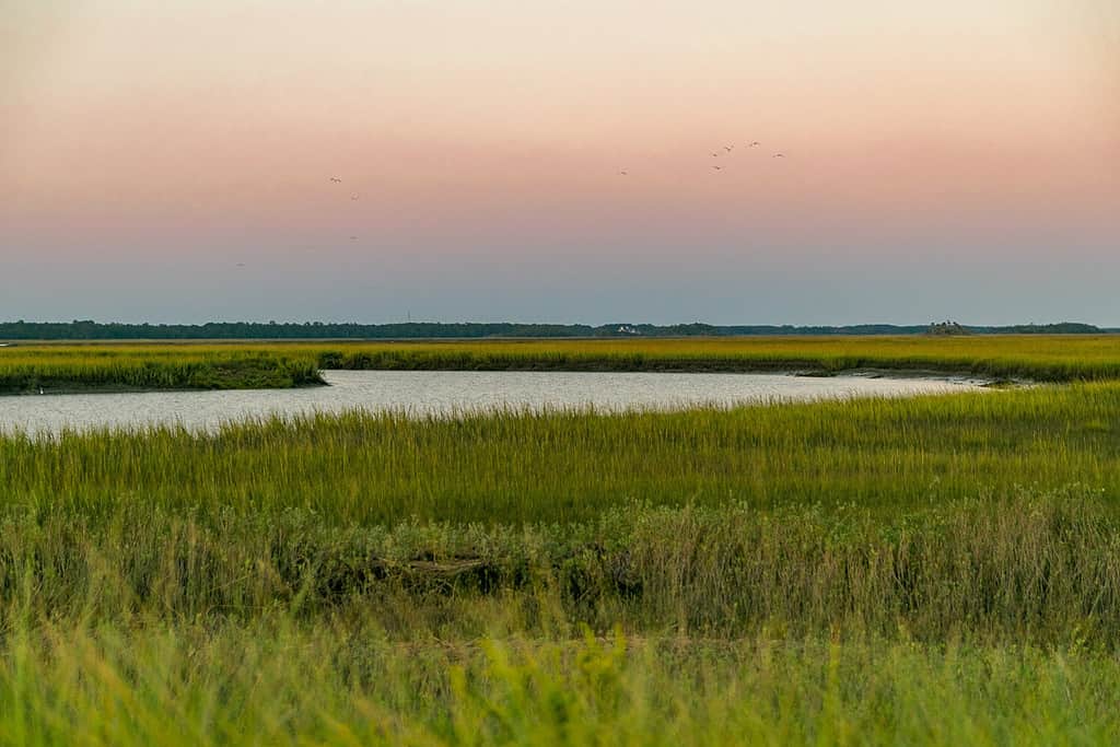 Sunset over the marsh in South Carolina, Kiawah Island, Seabrook Island