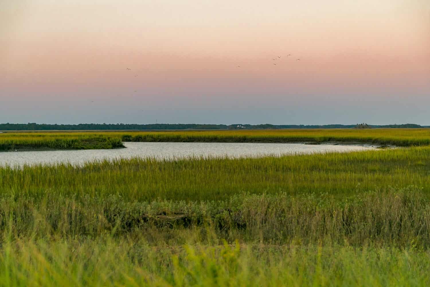 Sunset over the marsh in South Carolina, Kiawah Island, Seabrook Island