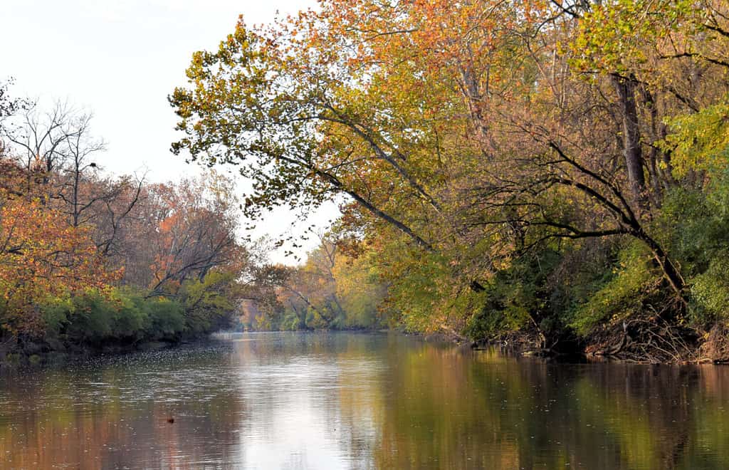 Fall Along the Great Miami River
