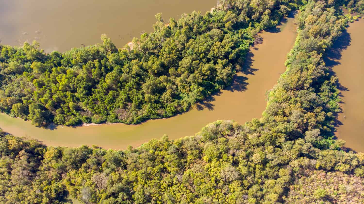 Forest top view drone red river louisiana