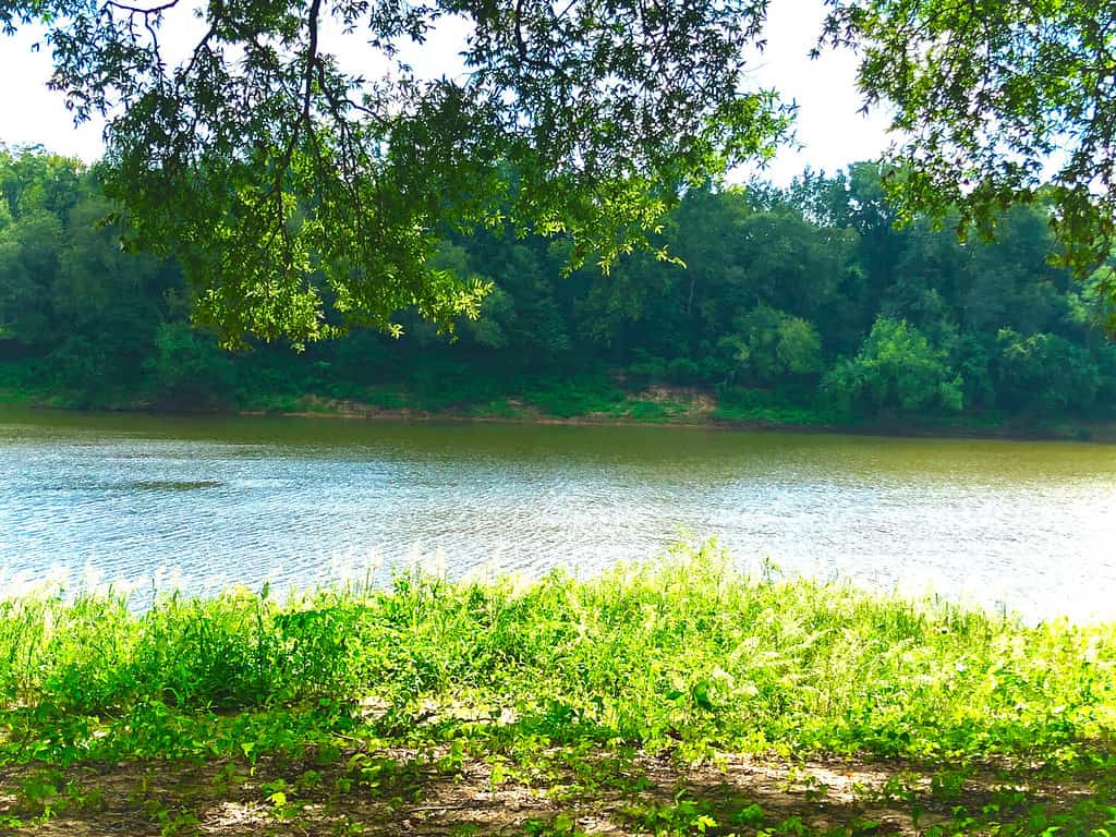 Beautiful view of the Ouachita river in Columbia, Louisiana