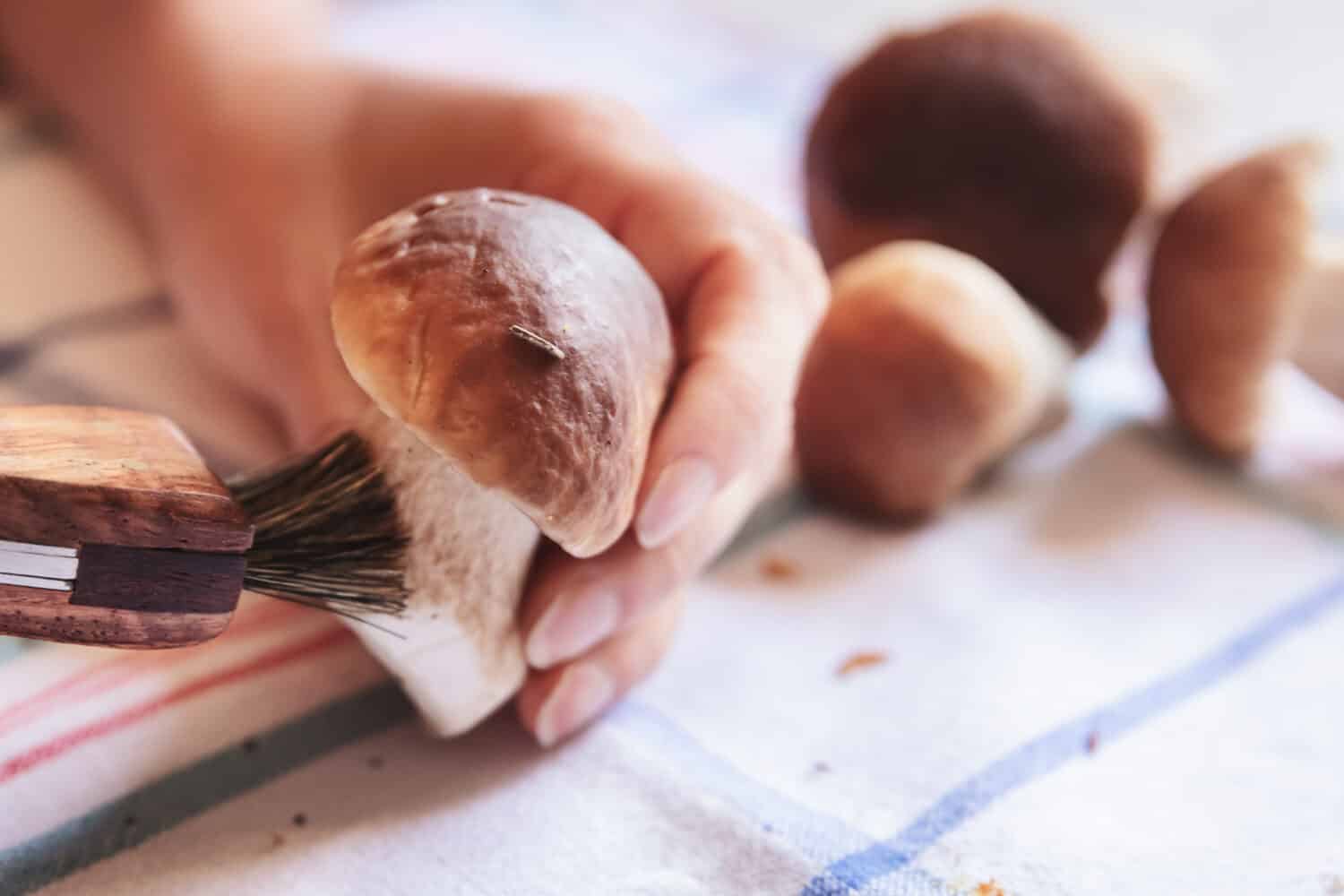 Cleaning porcini mushrooms with a brush, boletus edulis, closeup