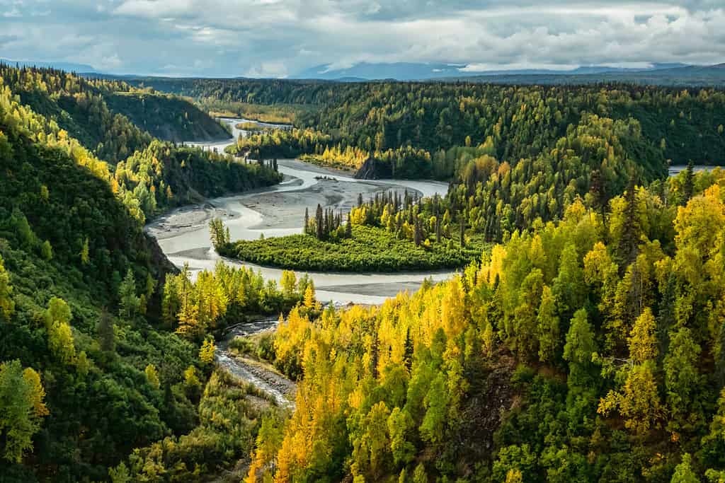 alaska's scenic chilitna river is seen winding from hurricane gulch railroad trestle on sunny autumn afternoon