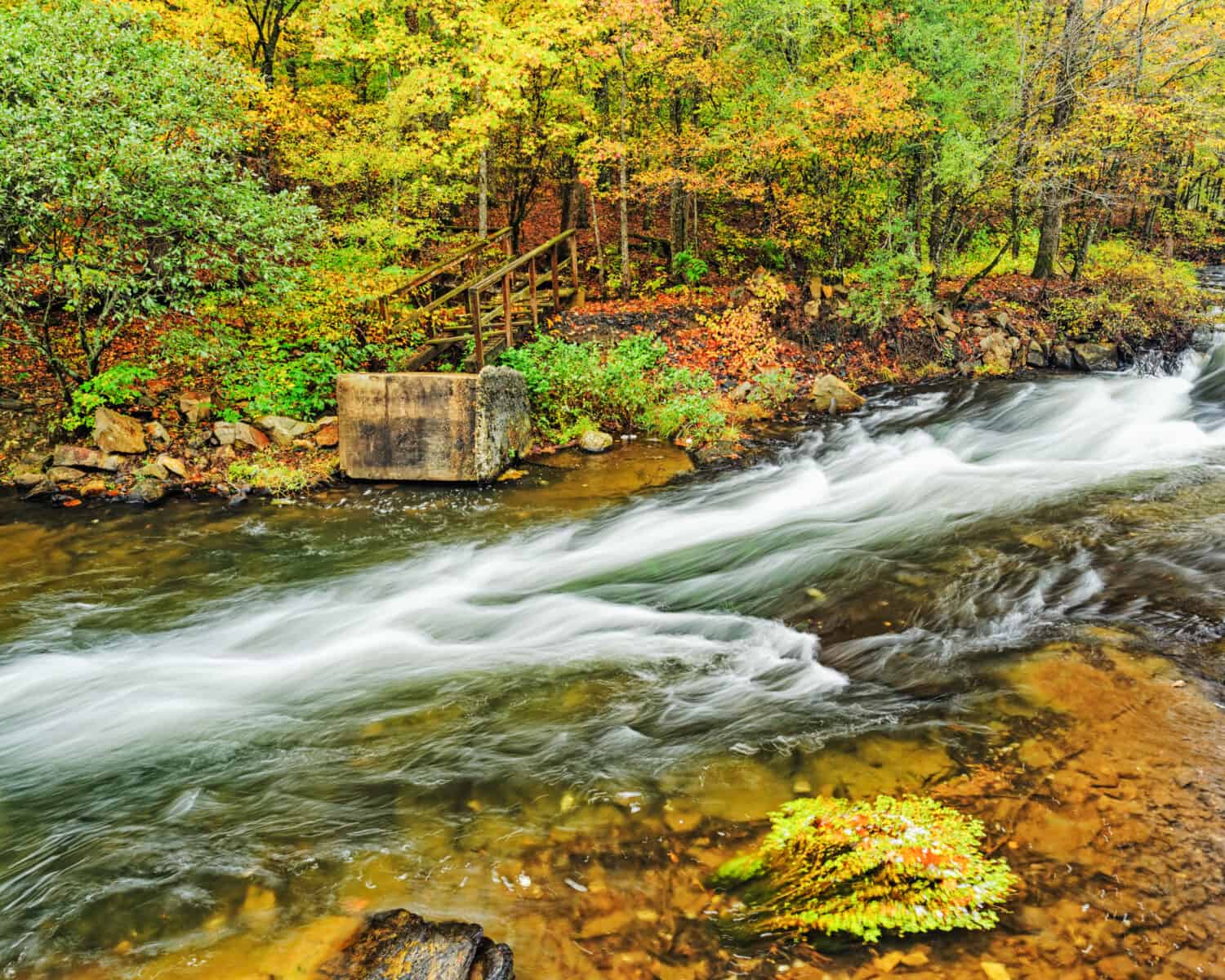 Mountain Fork River at Beaver's Bend State Park