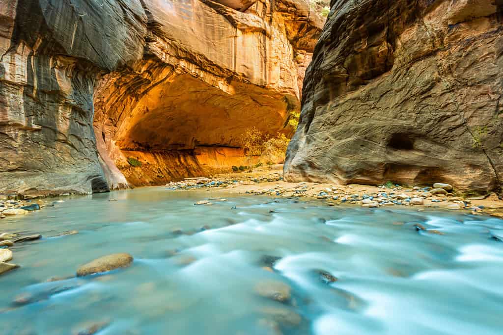 The Virgin river in the narrows in Zion National park