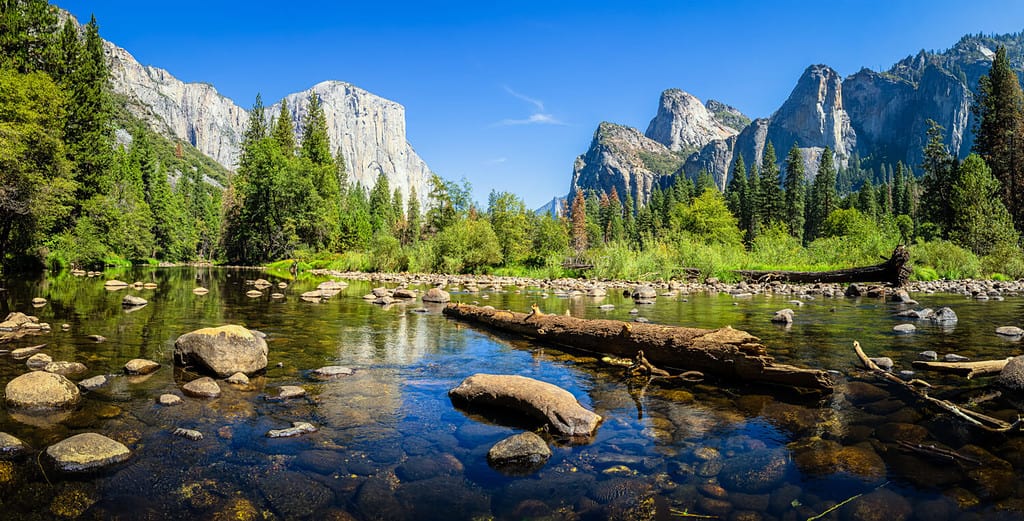 Scenic panoramic view of famous Yosemite Valley with El Capitan rock climbing summit and idyllic Merced river on a beautiful sunny day with blue sky in summer, Yosemite National Park, California, USA