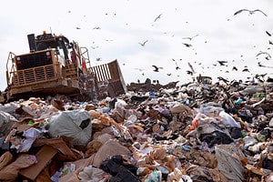 Discover the Largest Landfill in Pennsylvania (And What Lives Around It) Picture