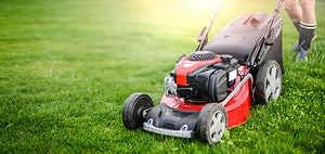 6 Reasons You Should Never Bag Your Grass Clippings  Picture