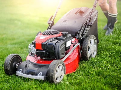 A 6 Reasons You Should Never Bag Your Grass Clippings 