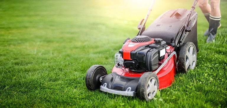 Machine for cutting lawns.