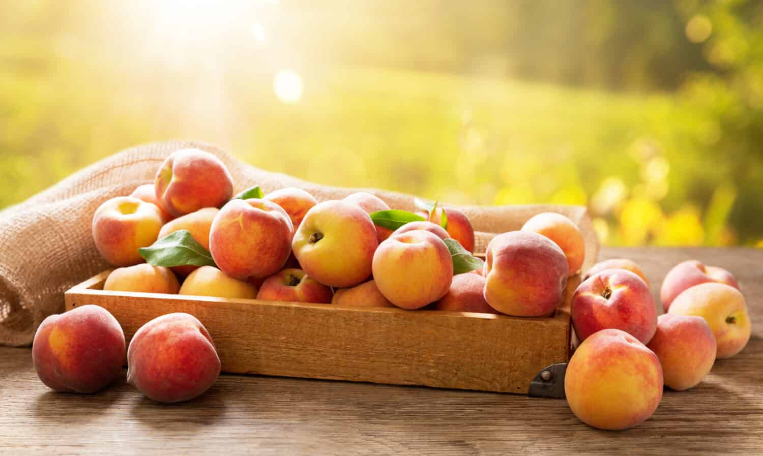 fresh ripe peaches with leaves in a box on a wooden table