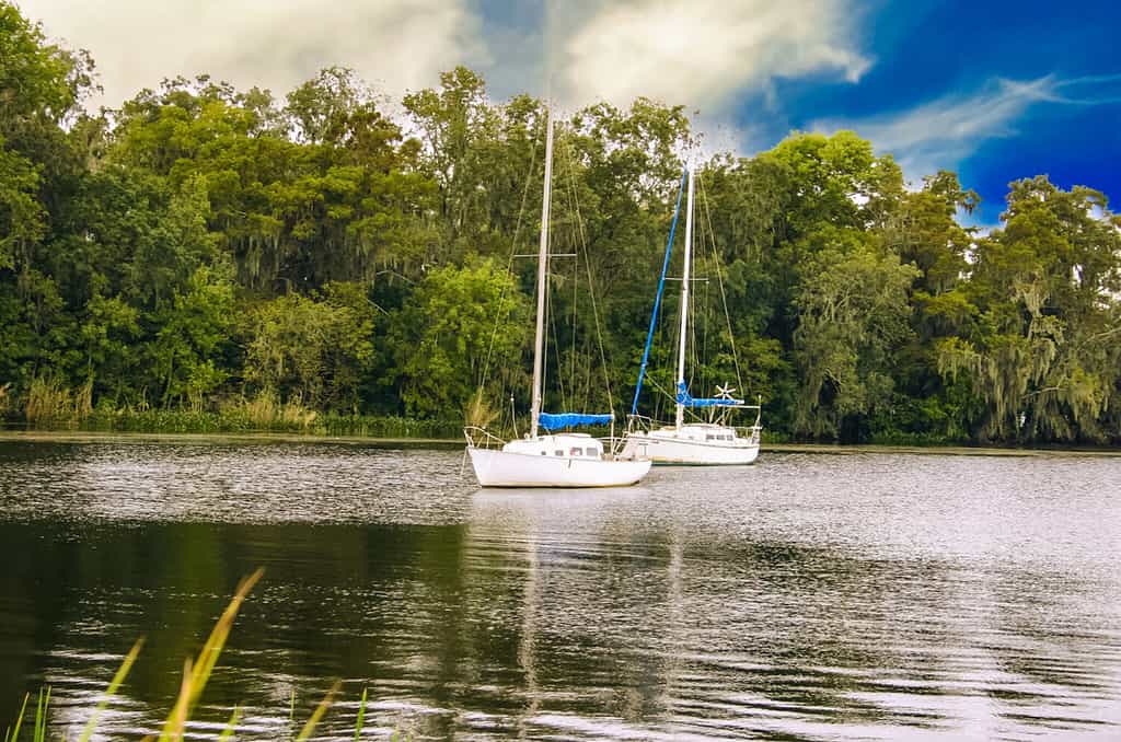 St. John’s River, Palatka, Florida