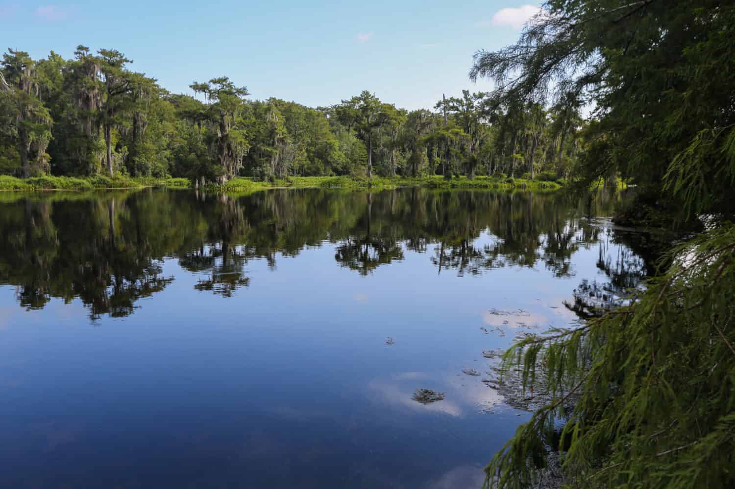 a lake in Wakulla Springs Florida USA