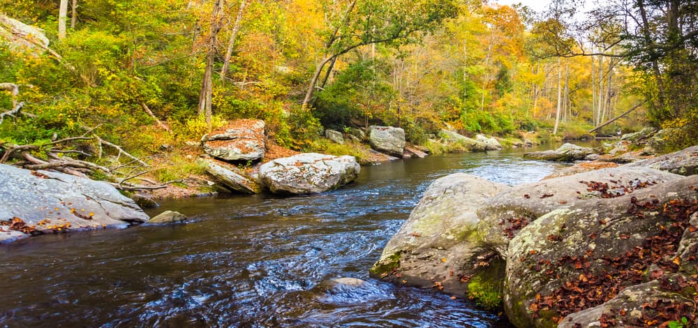  Gunpowder Falls State Park is located in Maryland and offers a variety of outdoor activities for visitors to enjoy.