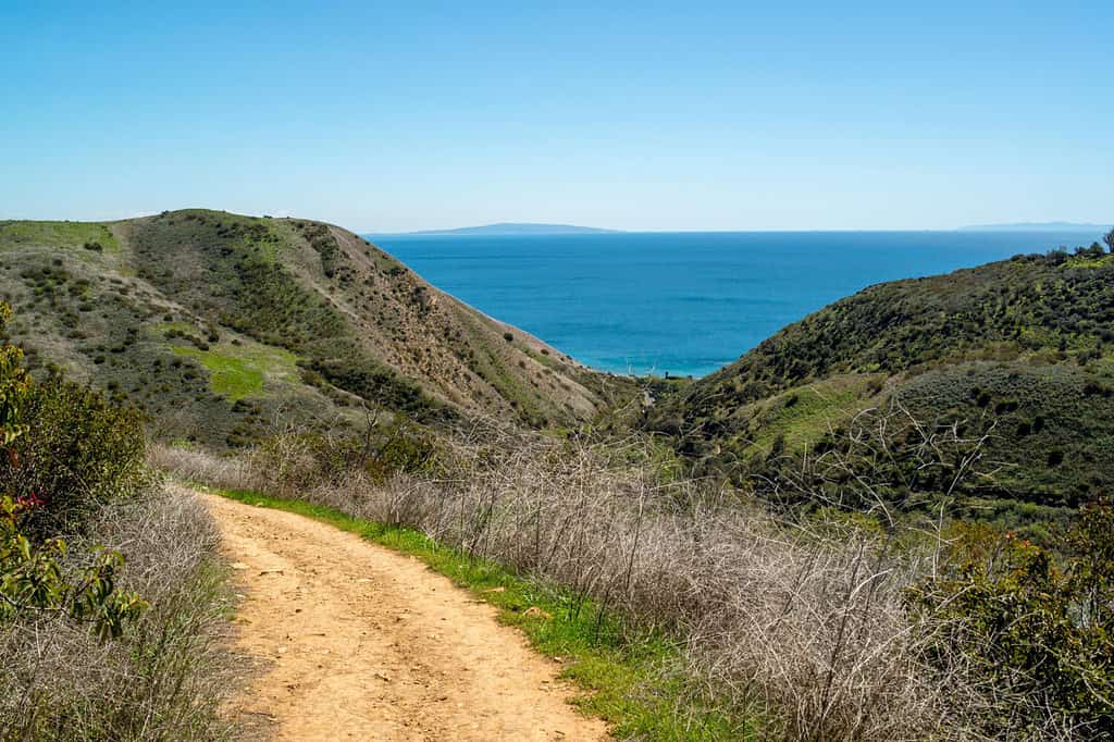 Malibu Ocean from Solstice Canyon Trail