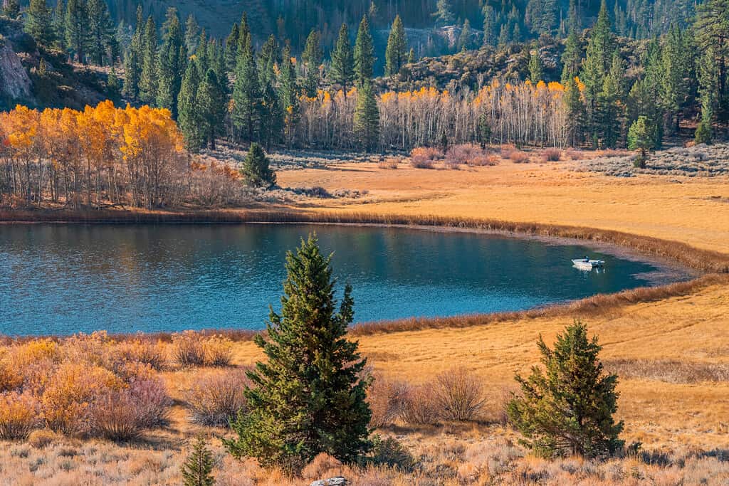 Fisherman floats on Gull Lake in the Autumn morning in the June Lake Loop of California.