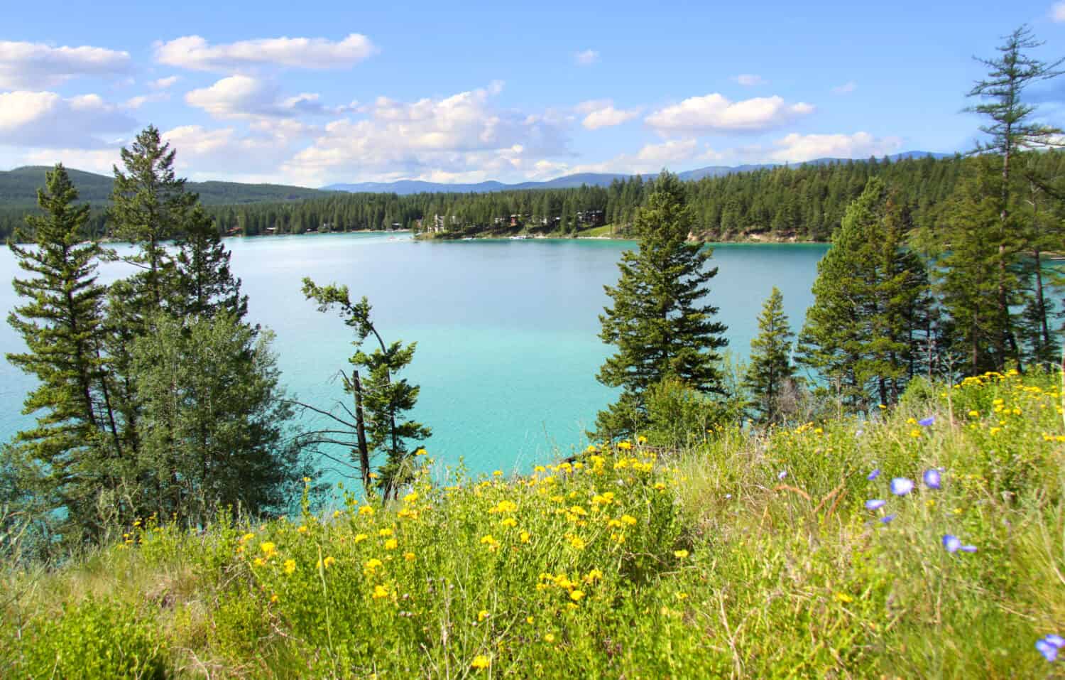 Scenic Dickey lake in Montana near Glacier national park