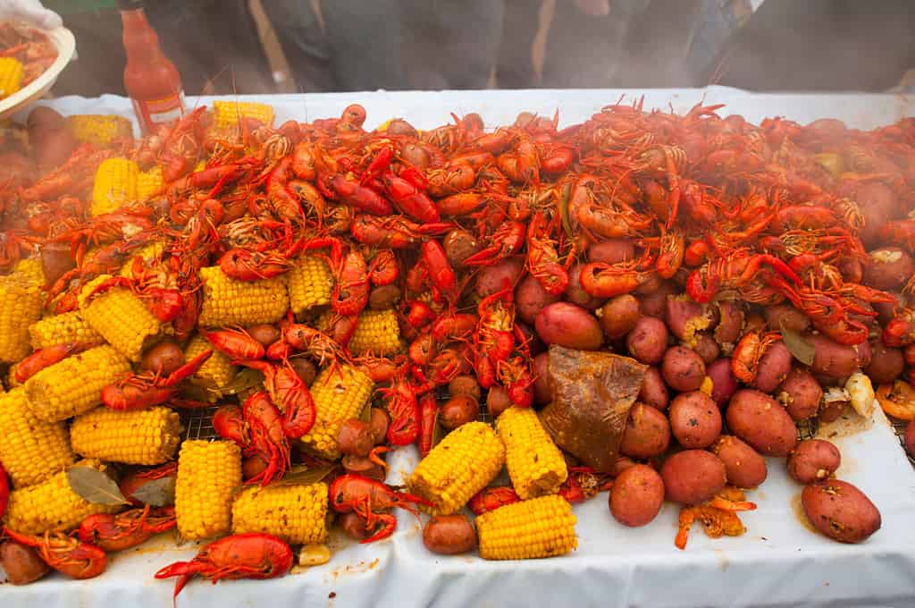 Crawfish boils. Louisiana, New Orleans Crawfish Boil. Crawfish, shrimp, lobster, seafood, corn on the cob, sausage, potatoes boiled in Cajun seasonings and herbs. Classic Cajun or Creole cuisine.