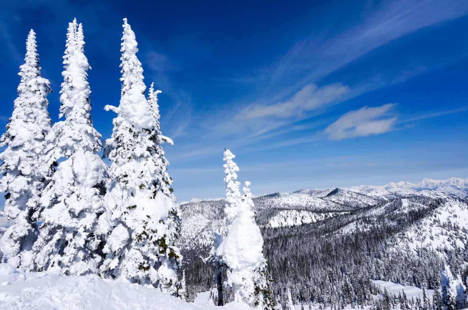 Winter landscape on Big Mountain in Whitefish, Montana, overlooking Glacier National Park, with copy space
