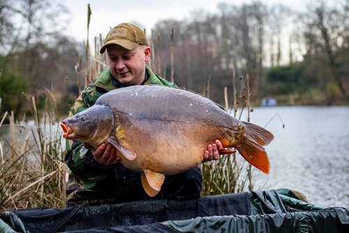 Angler holds big carp in his hands.Carp Fishing