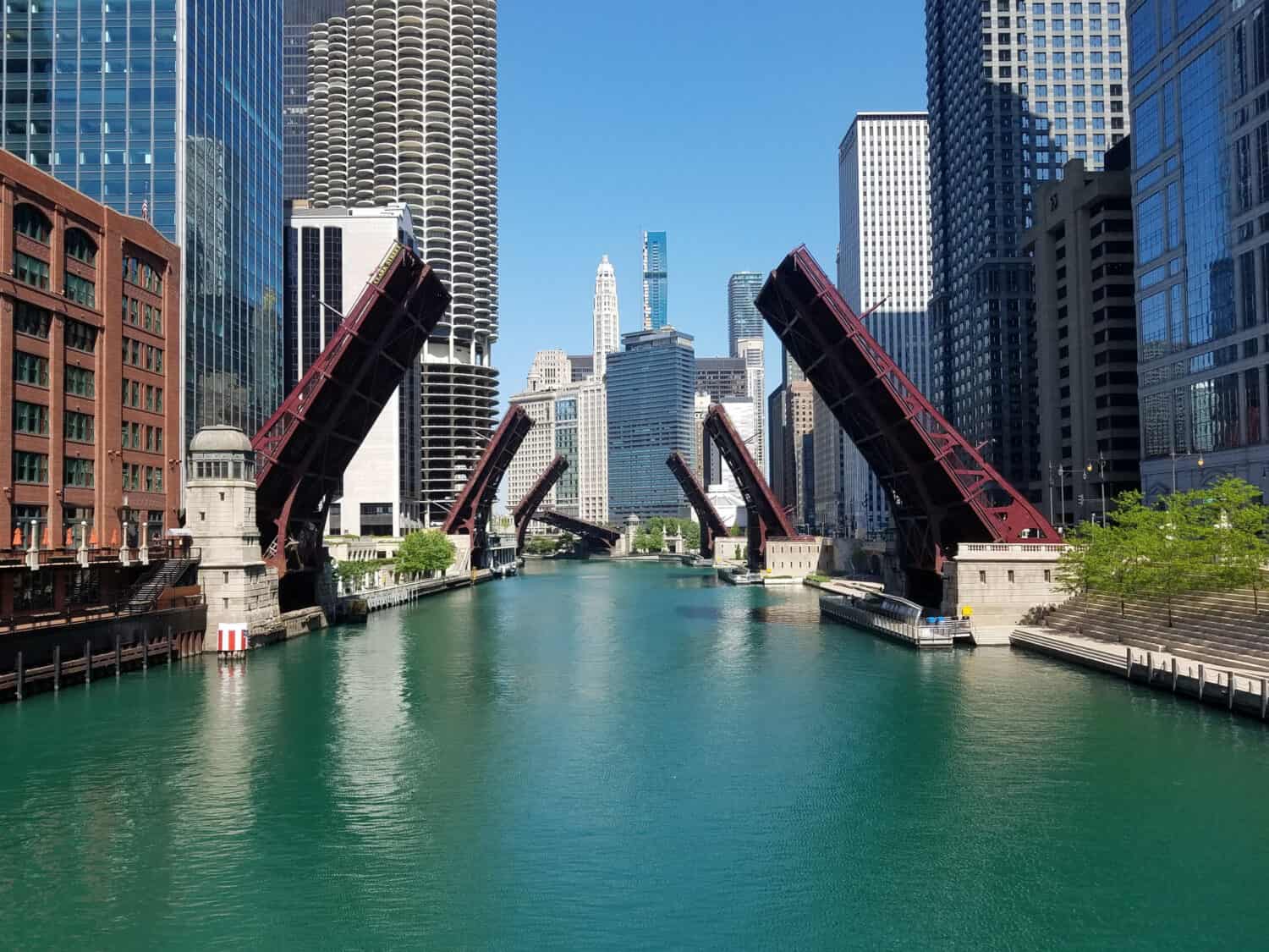 All Chicago River Drawbridges raised elevated at the same time under a clear blue sky in summer