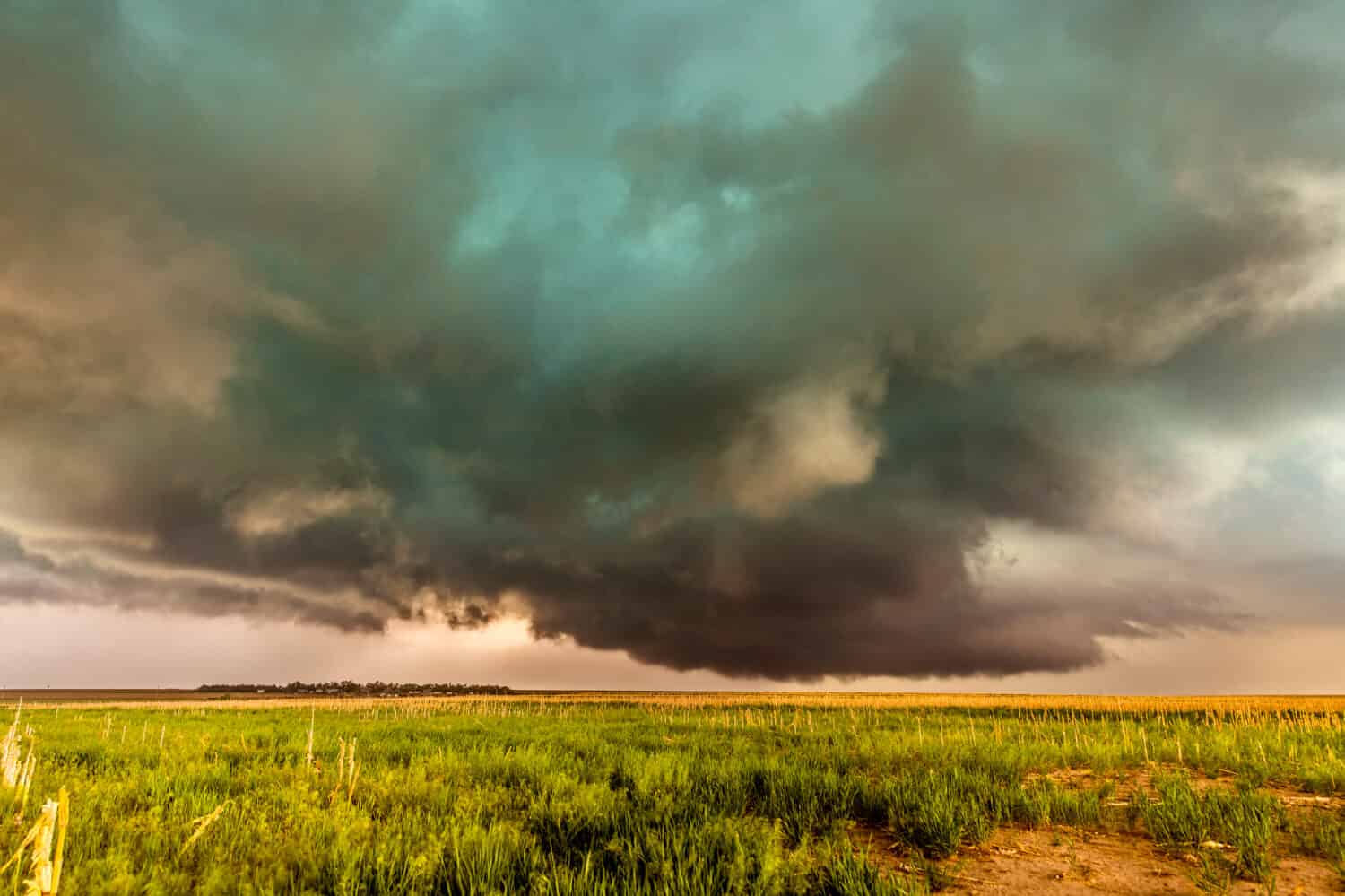 A large tornadic mesocyclone supercell inflow with a green glow of hail sucks in energy as it begins to transform into a tornado.