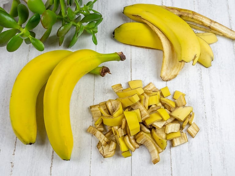 Organic fertilizer made from banana peel.