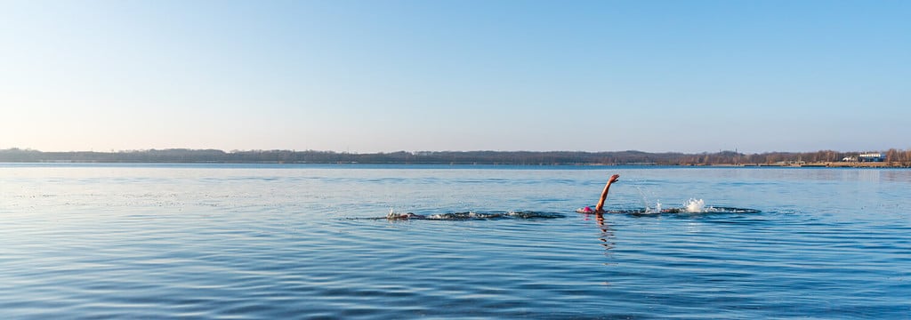 Two athletes swimming in a lake panorama