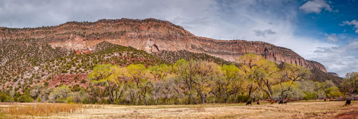 Panorama of Jemez Springs Red Cliffs and Cottonwoods - Jemez Pueblo Valles Caldera - New Mexico 