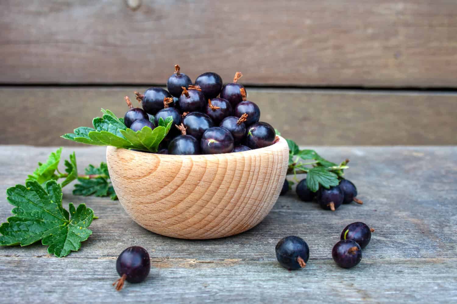  Jostaberry fruits in a wooden bowl