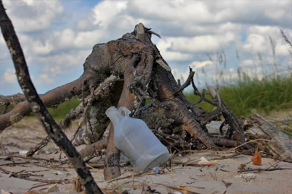 Washed up wiskey jug on the North Carolina outer banks