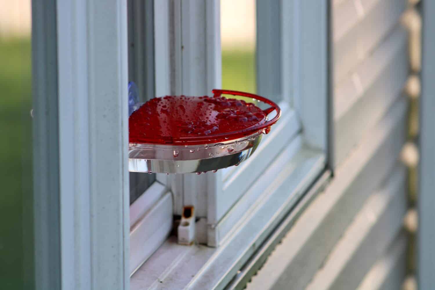 A round window feeder that is attached by suction cups outside. The humming bird feeder is red with three feeding ports and a bar for the birds to perch on while drinking.