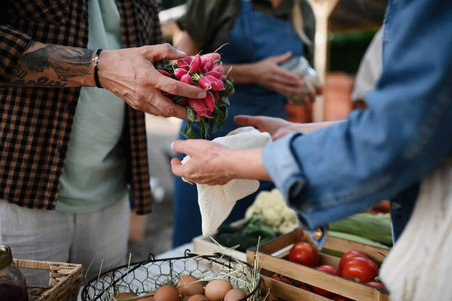 Close up of mans hands buying organic vegetables outdoors at local farmers market.