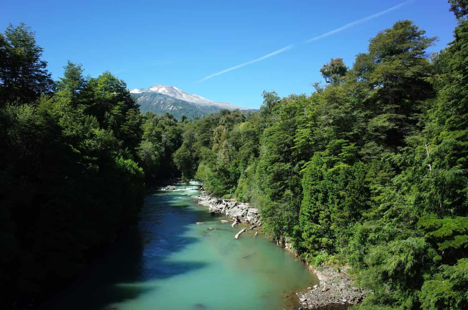 Turquoise water river in lush green forest with view of volcano Puyehue, Puyehue National Park, Los Lagos Region, Chile, Nature of Patagonia