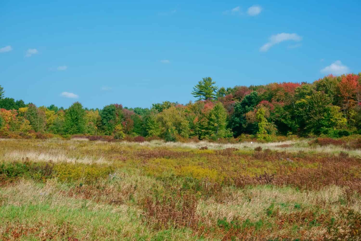 Autumn color of Oxbow national wildlife refuge Harvard MA USA