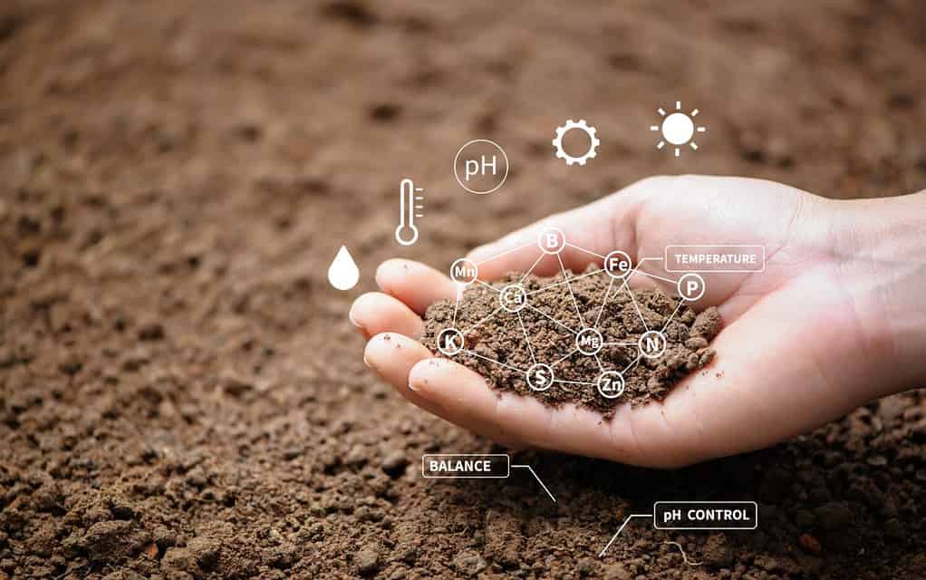 Top view of soil in hands for check the quality of the soil for control soil quality before seed plant. Future agriculture concept. Smart farming, using modern technologies in agriculture