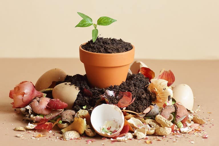 Organic waste, heap of bio compost with decomposed organic matter on top , closeup, zero waste, eco friendly, waste recycling concept