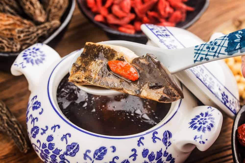 Chinese cuisine: morel and turtle stew soup
