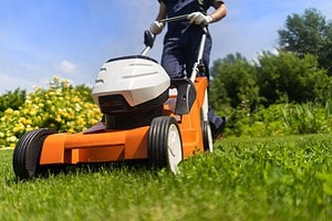 8 Reasons to Skip on Buying an EGO Lawnmower Picture