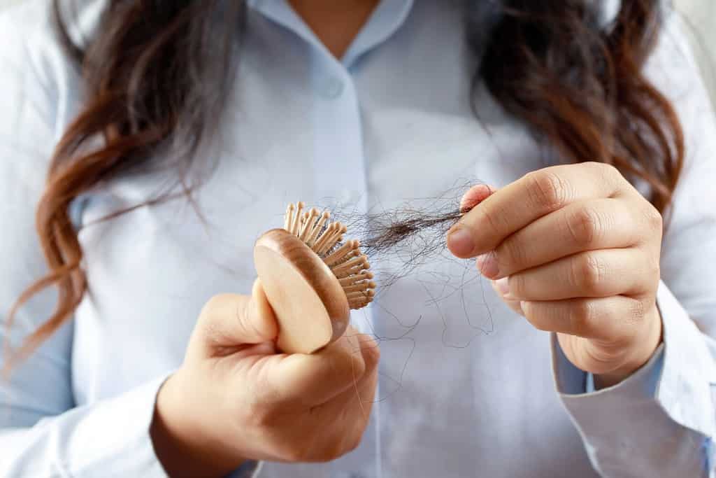 Rear view young woman worried about Hair loss problem, hormonal disbalance, stress concept. Many hair fall after combing in hair brush in hand. Female untangled her hair with a comb, Health care