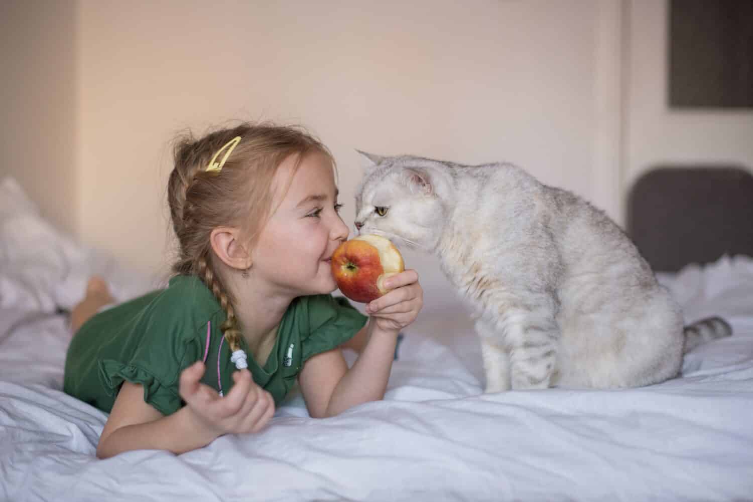a little girl eats an apple, a pet cat looks and asks for food, the child is not afraid of worms and microbes from the animal, they eat together