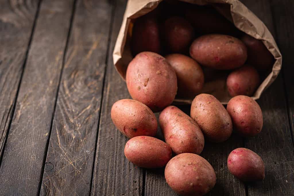 New raw red potatoes in paper bags on wooden background